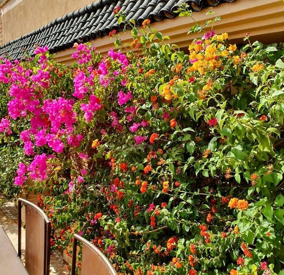 Penzion Riad Zouhour Marakéš