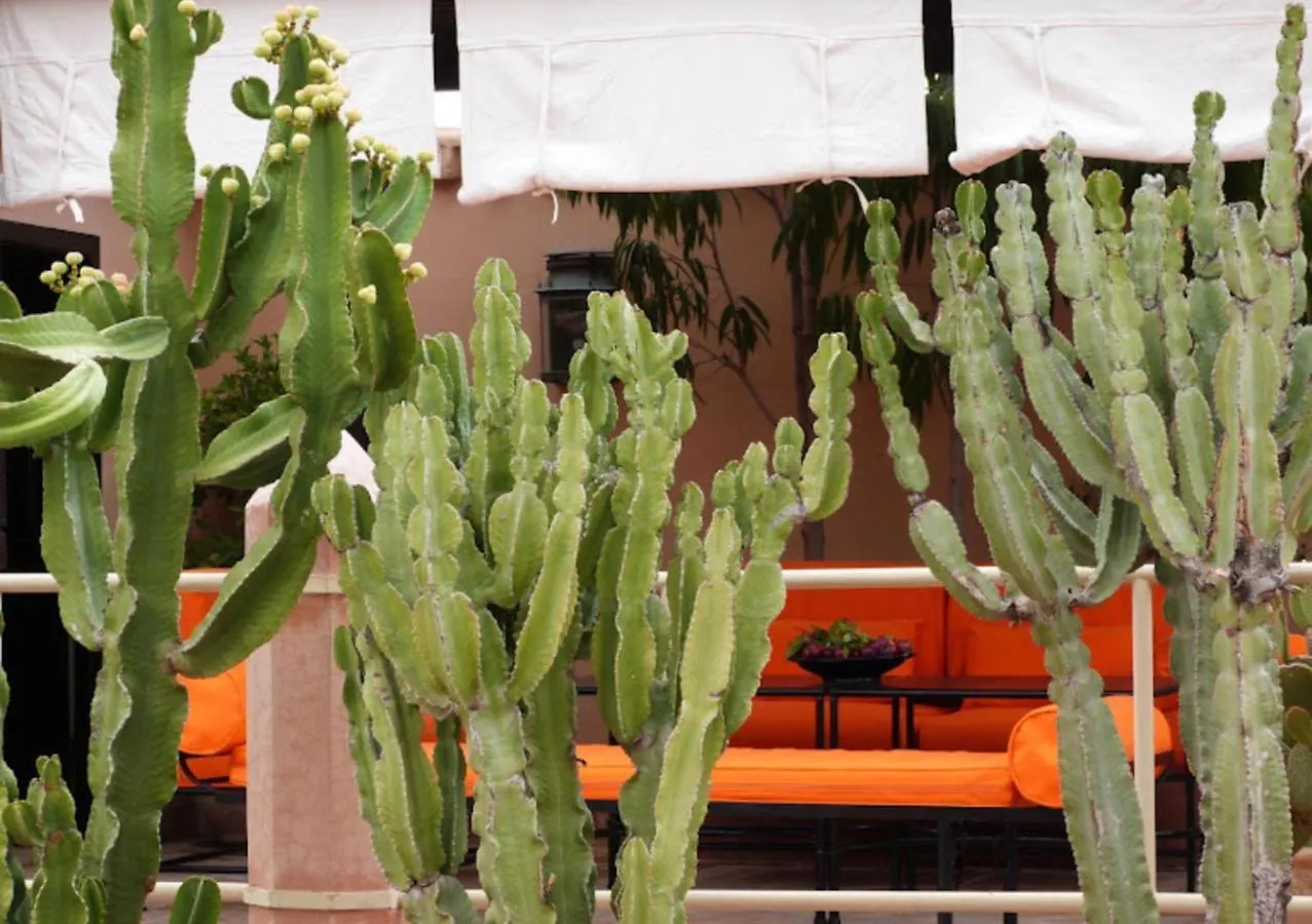 *** Penzion Riad Zouhour Marakéš Maroko