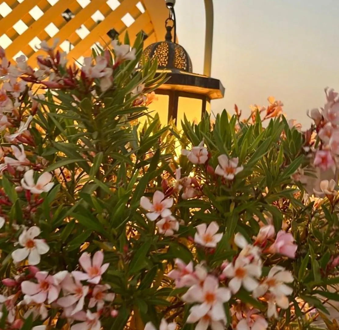 Riad Zouhour Marrakesh