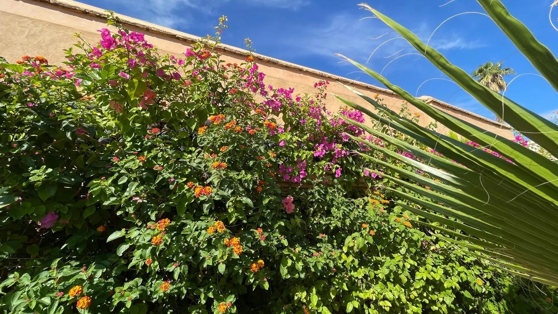 Riad Zouhour Marrakesh Marruecos