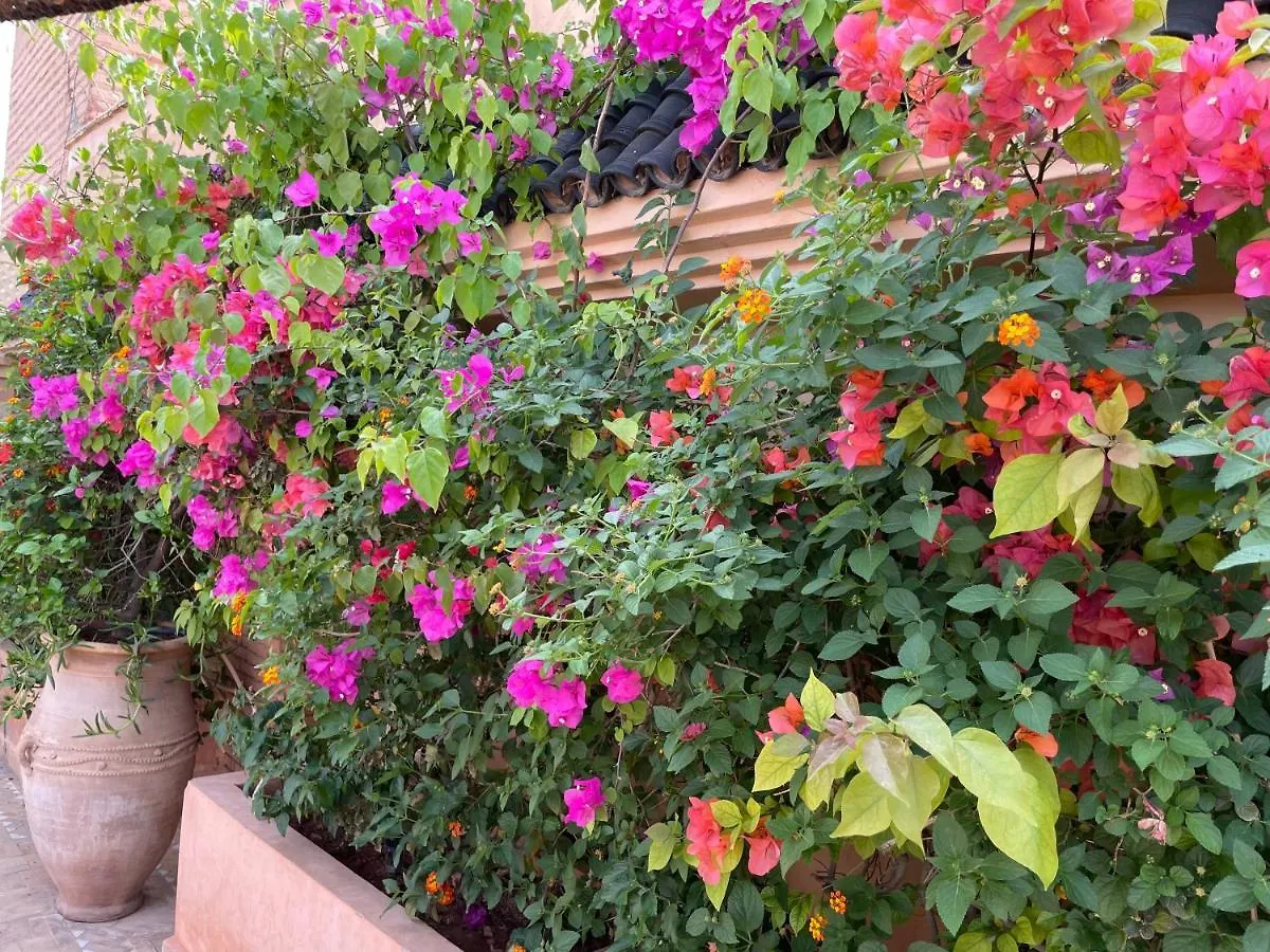 Riad Zouhour Marrakesh Guest house