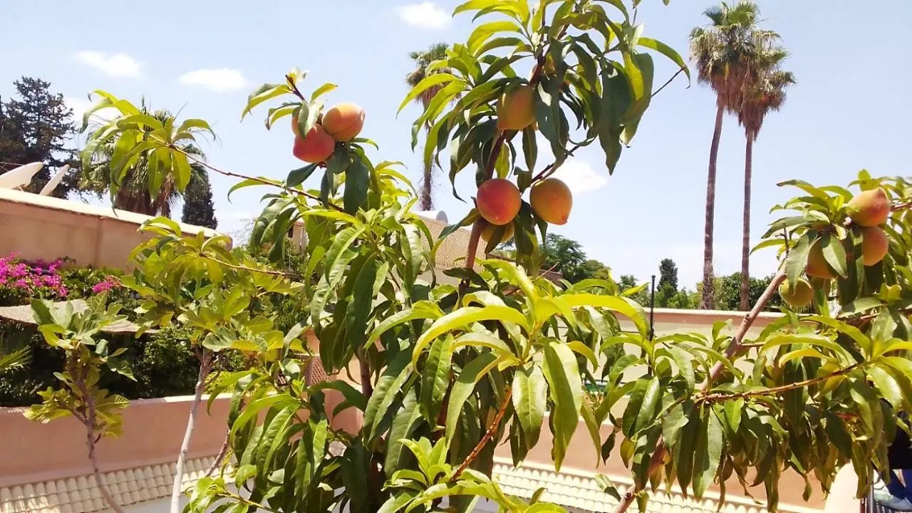 Riad Zouhour Marrakesh Guest house