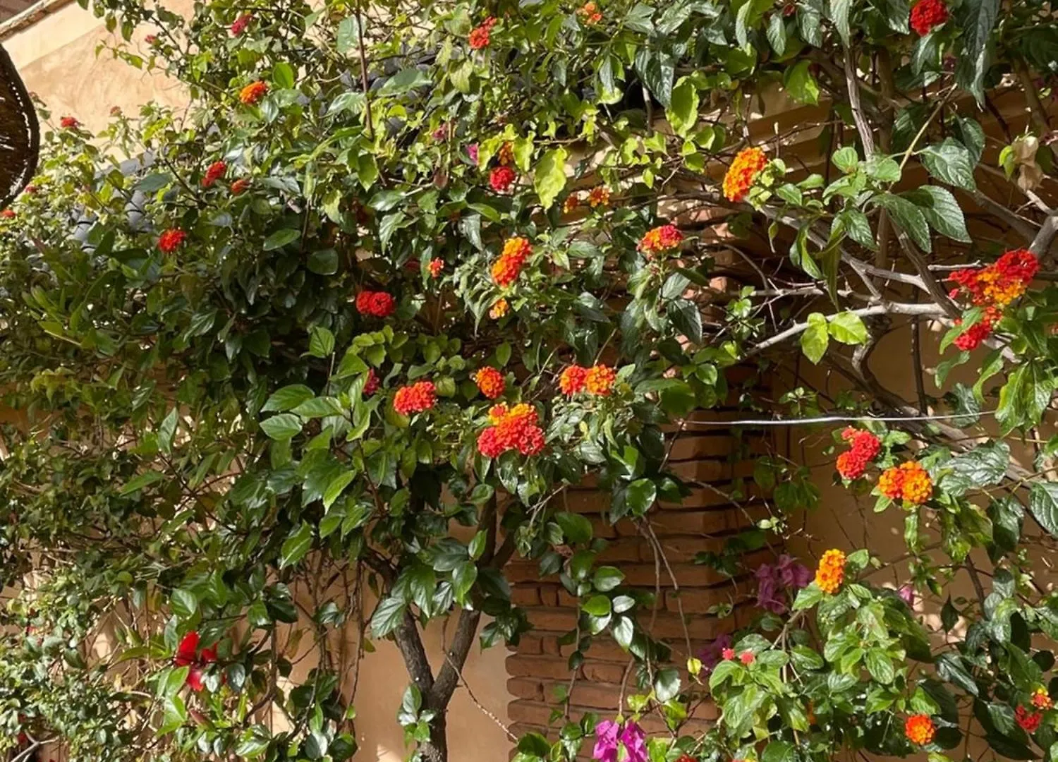 Riad Zouhour Marrakesh